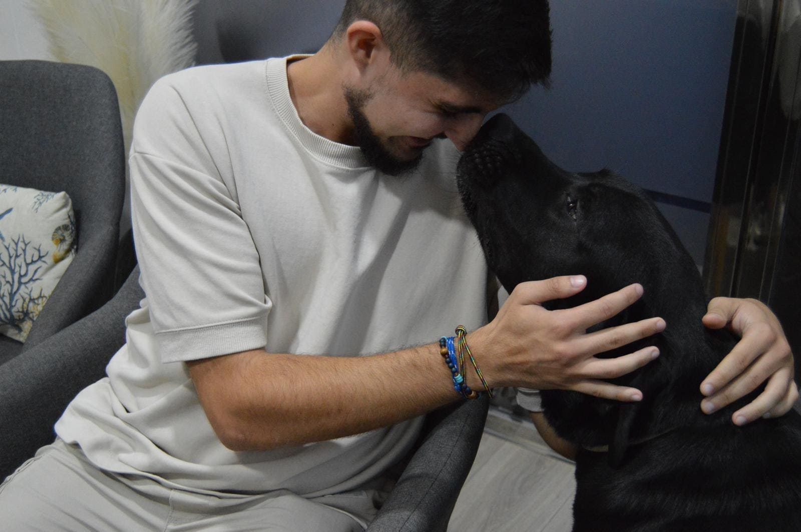 Terapia Asistida con Animales